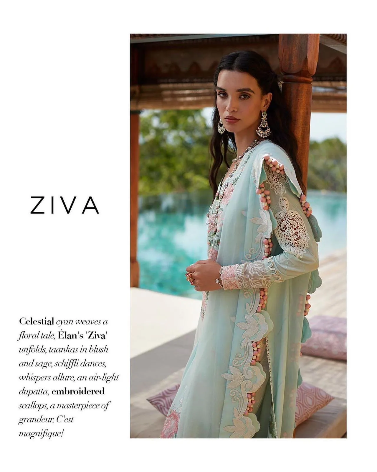 D03A ZIVA   Elan Lawn -23