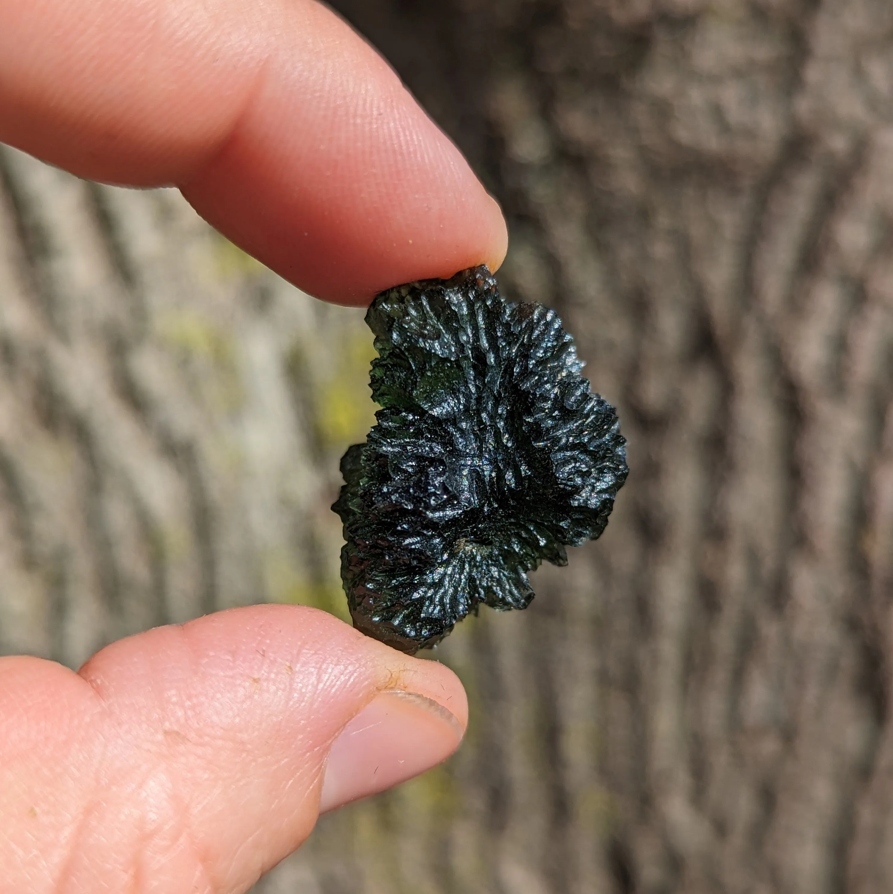 Genuine AAA Grade Moldavite Tektite Crystal~ Cosmic Energies~ Natural Moldavite