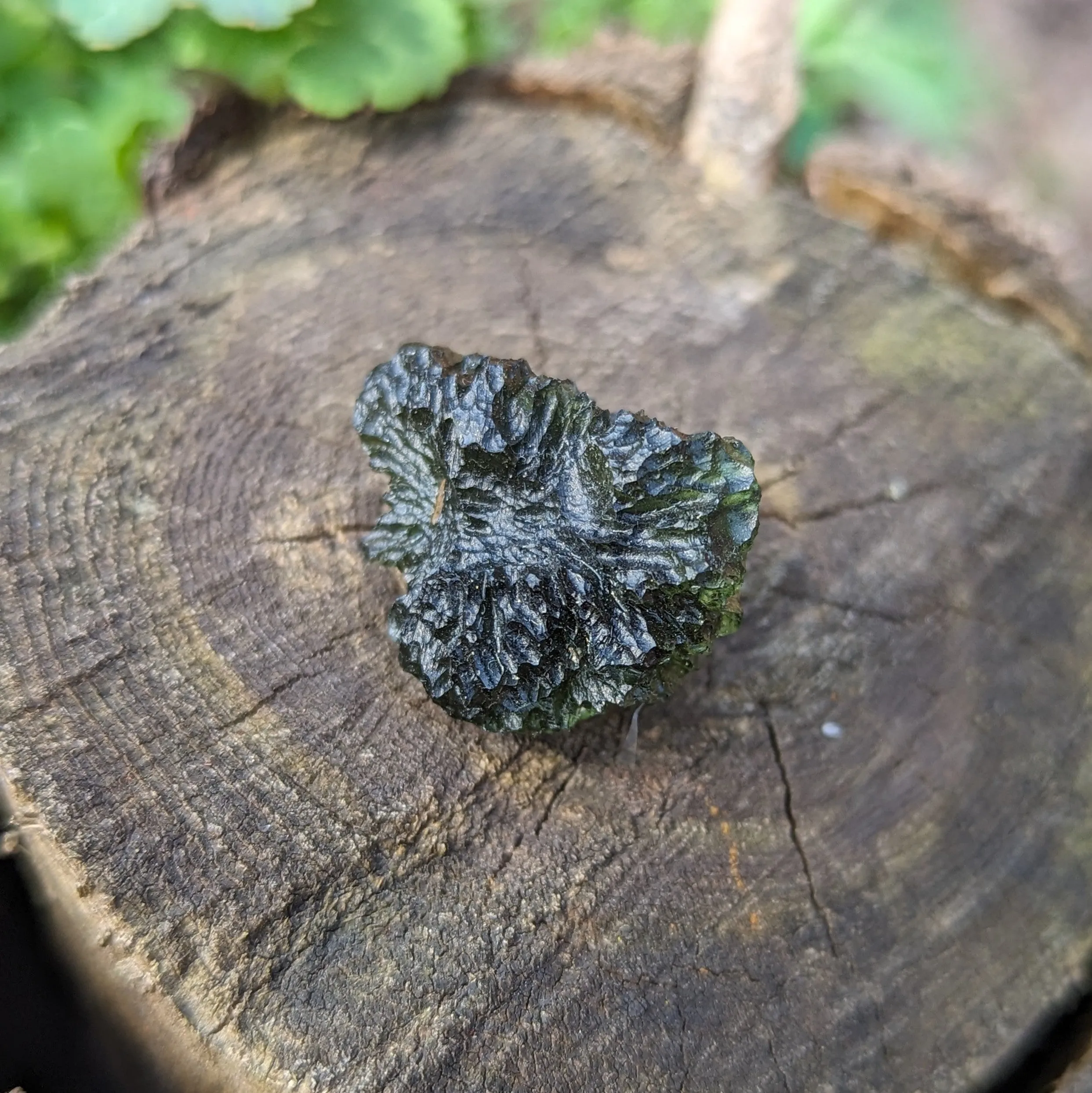 Genuine AAA Grade Moldavite Tektite Crystal~ Cosmic Energies~ Natural Moldavite