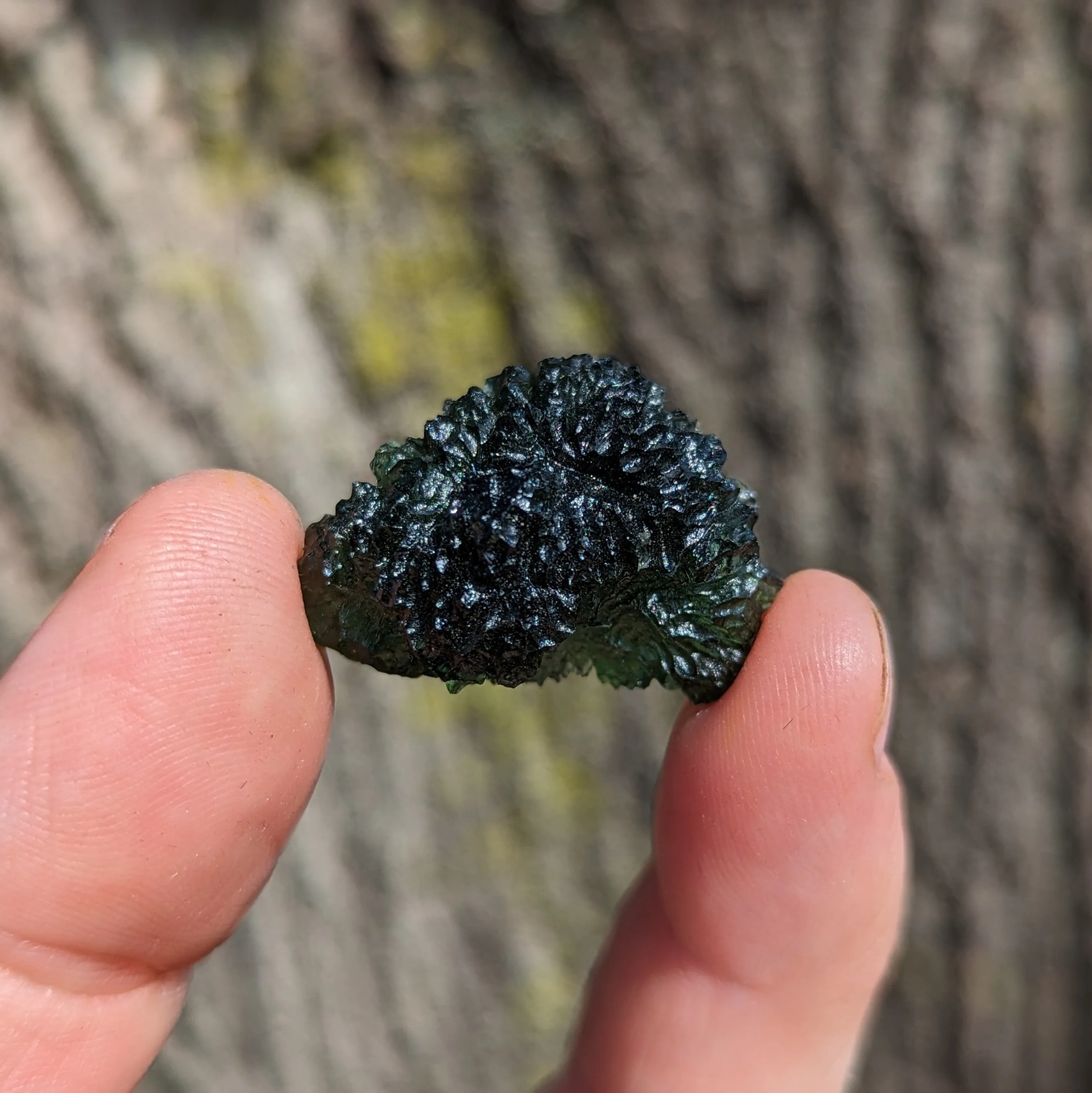 Genuine AAA Grade Moldavite Tektite Crystal~ Cosmic Energies~ Natural Moldavite