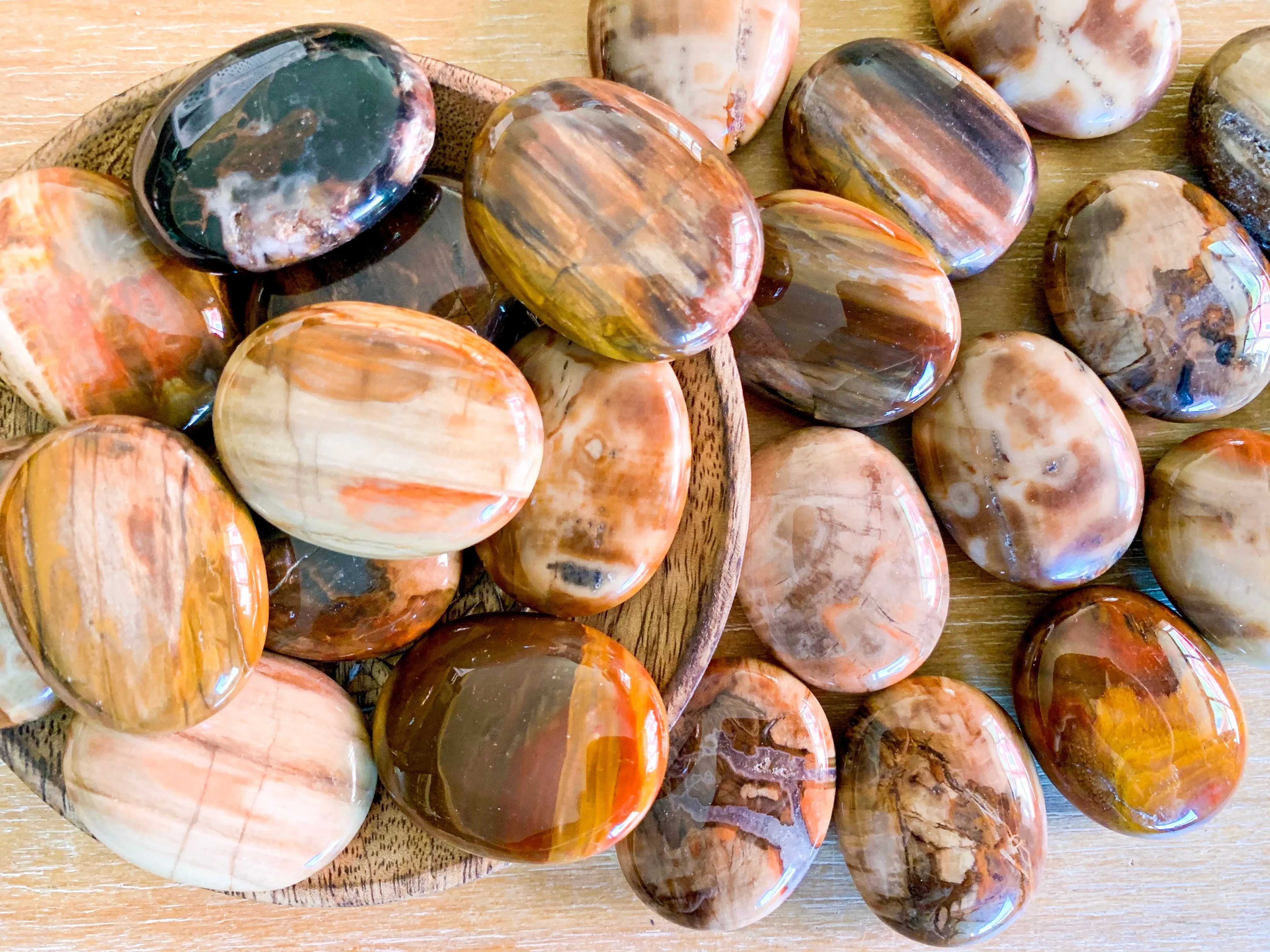 Petrified Wood Palm Stone